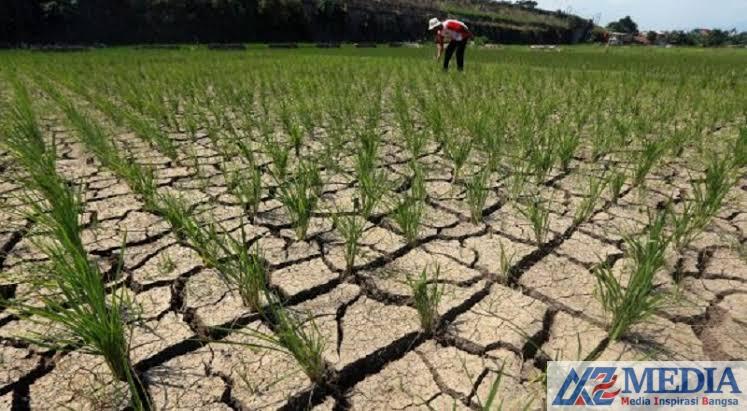 IMG 6196 Peta Kekeringan di Kabupaten Tulungagung Bertambah Satu Desa
