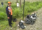 IMG 6342 Sepeda Motor Ringsek usai Ditabrak KA Kartanegara Tabrak