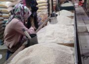IMG 20230324 105102 1 Jelang Pemilu dan Ramadan, Harga Beras Makin Mahal Tembus Rp 36 Ribu per Kg