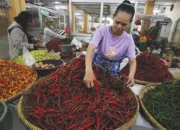 harga cabai 2732217775 Update Harga Cabai dan Beras di Tulungagung Meroket Usai Pemilu