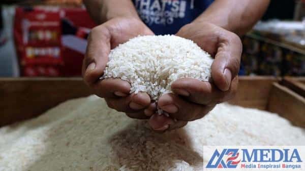 menengok harga beras saat inflasi cetak rekor 2 169 Jelang Pemilu dan Ramadan, Harga Beras Makin Mahal Tembus Rp 36 Ribu per Kg