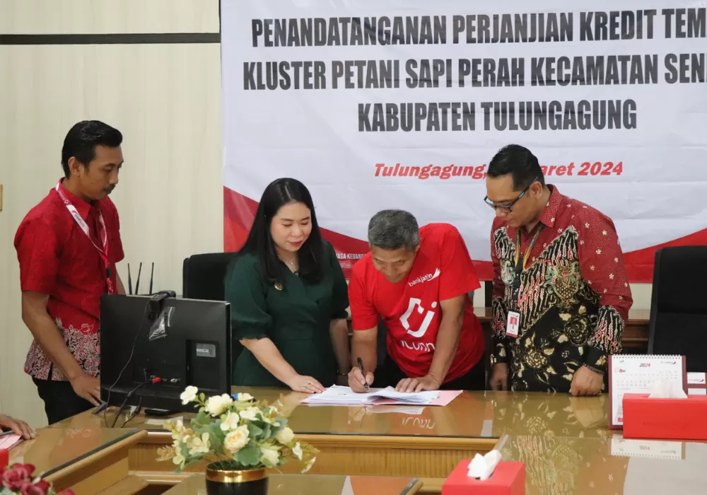 2 20240322 124135 0001 4176093054 Bank Jatim Menyalurkan Kredit ke Peternak Sapi Perah