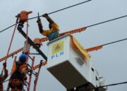 5fd02384399a3 Tragis, Petugas PLN di Tulungagung Tersengat Listrik Tegangan Tinggi Saat Bekerja, Begini Kronologi Kejadiannya