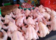 9ayam 800x449 1 Stok daging ayam terbatas menyebabkan harga merangkak naik di bulan ramadhan