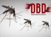 WhatsApp Image 2023 01 10 at 12.30.40 1 Dinkes Catat Ada 6 Pasien Meninggal akibat DBD di Tulungagung.