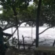 gelombang tinggi 2131368551 Cuaca Buruk, Gelombang Laut di Pantai Selatan Tulungagung Bikin Nelayan Ngeri