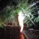 pohon tumbang 1 142414463 Pohon Berdiameter 1 Meter Tumbang Rusak Dua Rumah hingga Sebabkan Arus Lalu Lintas Lumpuh Total