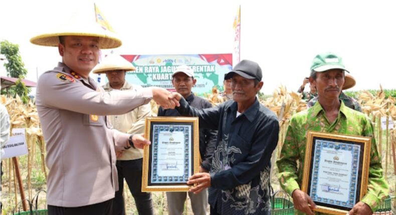 foto slider headline